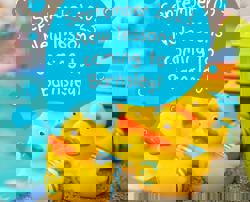 New Classes Barnsley