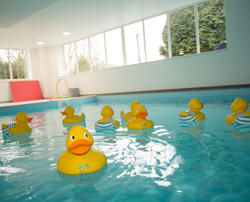 Ducks (Aqua Nurture) Image 2