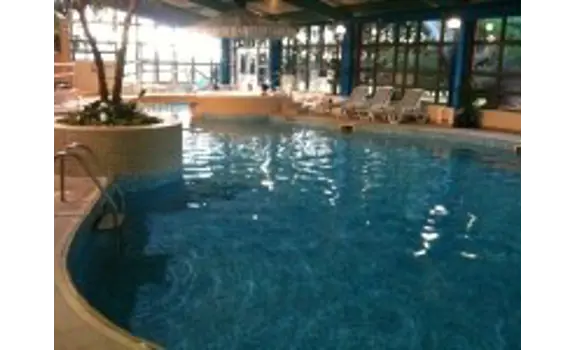 Mercure Abbotts Well Hotel Pool Puddle Ducks.jpg