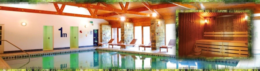 Chevin Park News Article Puddle Ducks.jpg