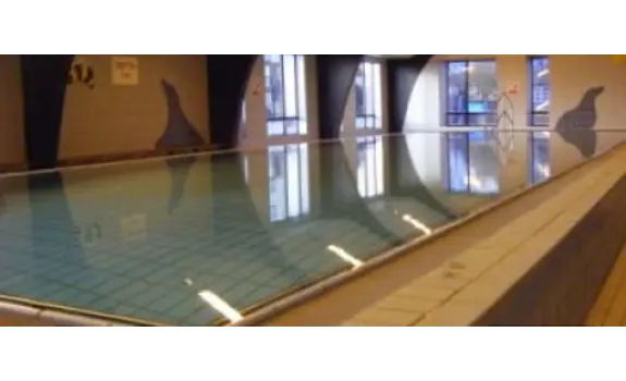 Woodlawn School Pool Puddle Ducks.jpg