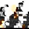 Kim Profile