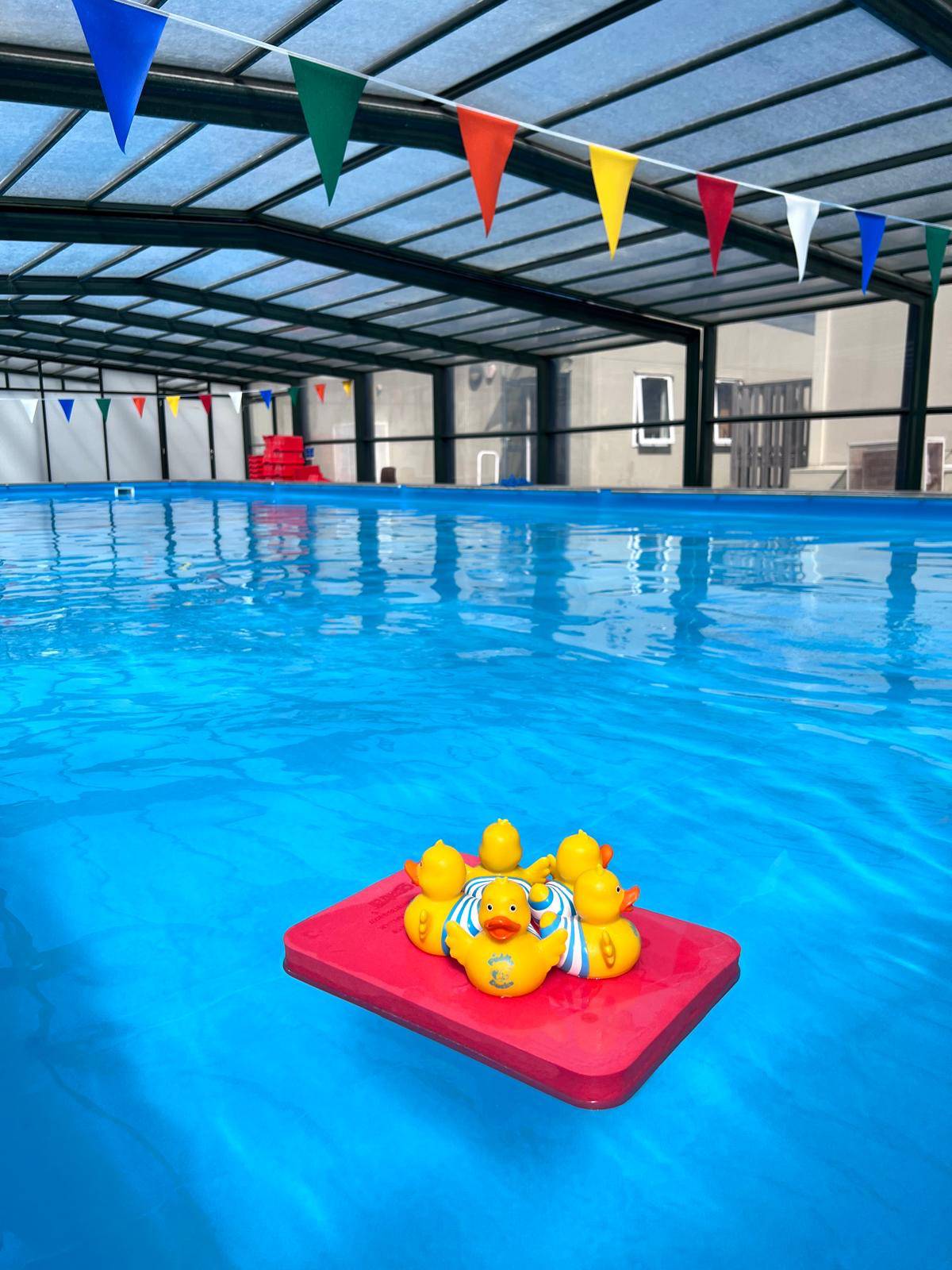 Wray Common With Ducks