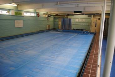 woodhouse-school-pool-puddle-ducks.jpg