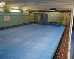 woodhouse-school-pool-puddle-ducks.jpg