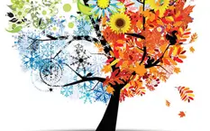tree.jpg