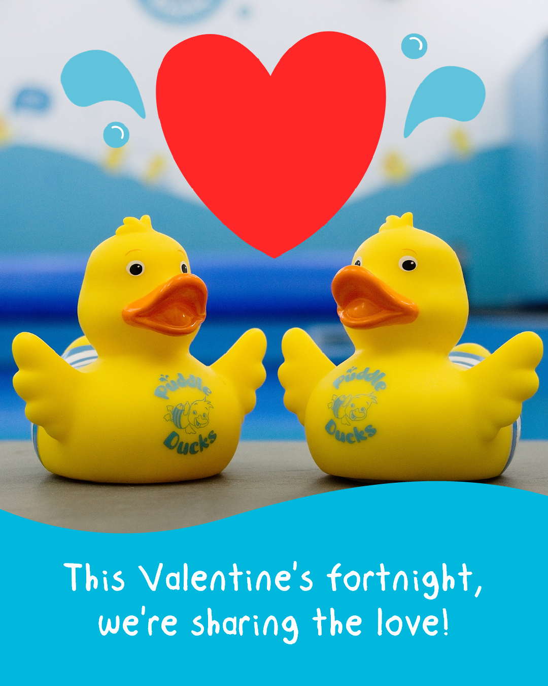 Valentines Fortnight V2