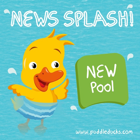 news_splash_new_pool_resized.jpg