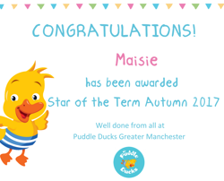 Copy of Star of the Term Autumn 2017.png