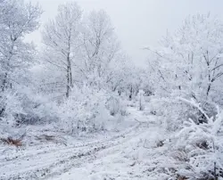 Snow.jpg