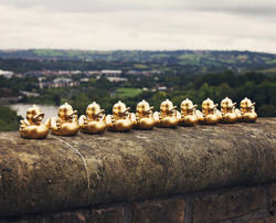 golden ducks in a row on bridge