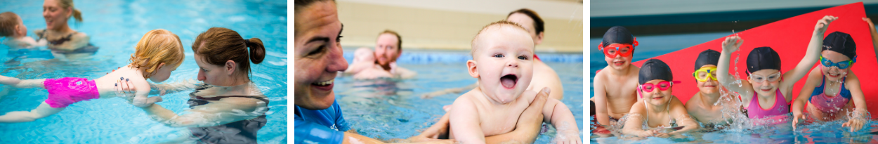 narrow website banner nov 18.png