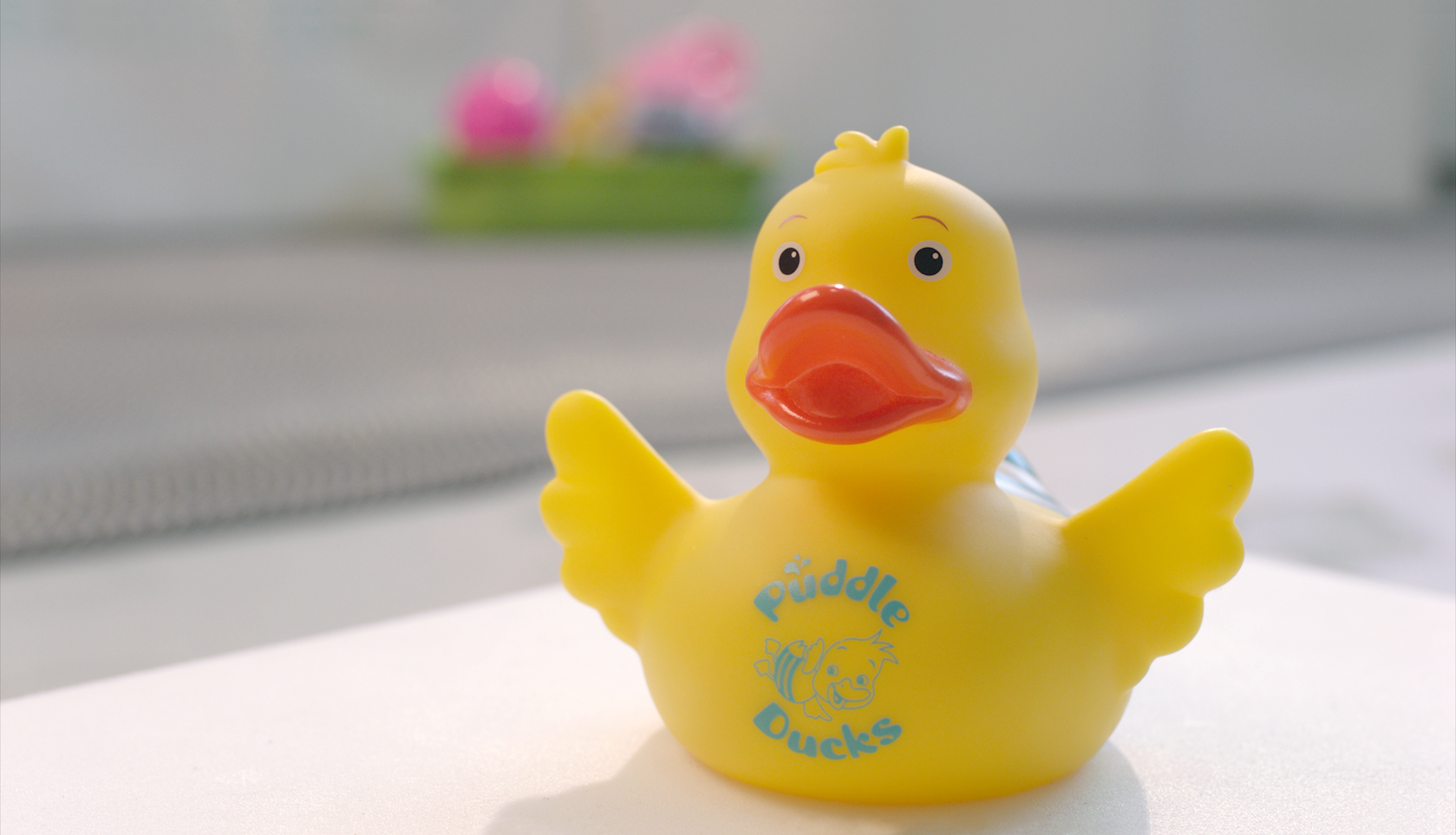 Rubber duck poolside