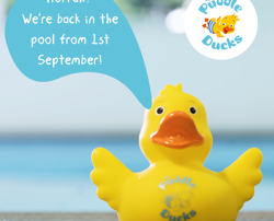 We're Getting Back In The Pool!