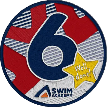 SA Level 06 Badge