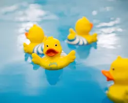 Puddleducks 0821 51