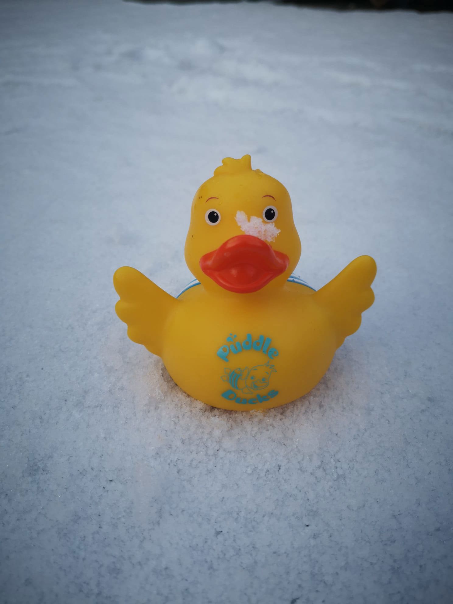 Puddle Snow