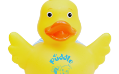 Puddle Ducks Duck