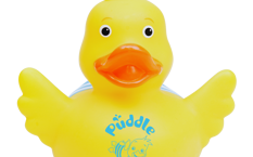 Puddle Ducks Duck