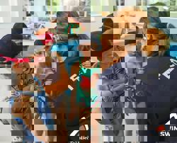 SA Teacher Recruitment