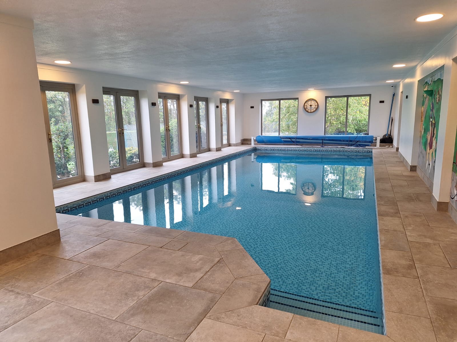 Landscape Pool Pic