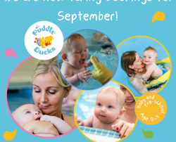September Bookings Canva (004)