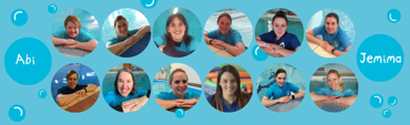 Lincs Ask Your Teacher Banner