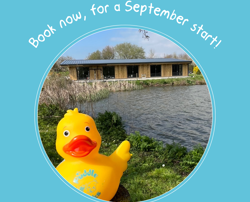 BB Pool Info Tables Seperate (10)